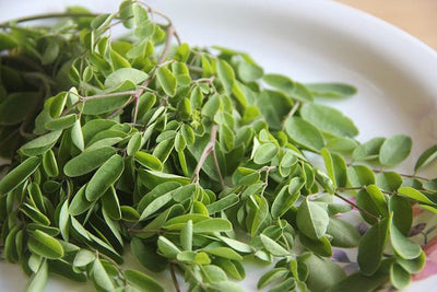 Beneficios del té de moringa: ingredientes y efectos secundarios