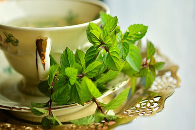 Os 10 melhores chás para a digestão
