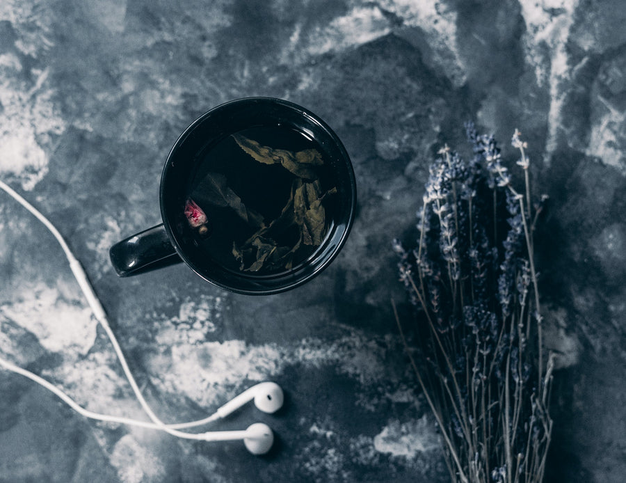 proveedor de Té blanco ecológico
