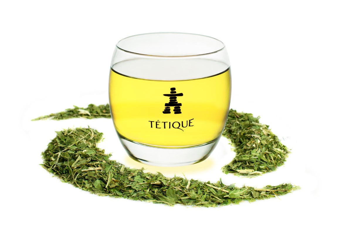 Infusión de Hojas de Cáñamo BIO al granel, 170 gr en vaso, rodeada de hojas de cáñamo secas.