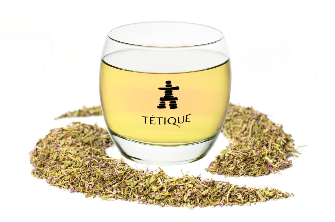 Proveedor de Infusión Menta Poleo BIO, Infusión Menta Poleo para menús de restaurantes, Infusión ecológica con sabor a menta Tétique