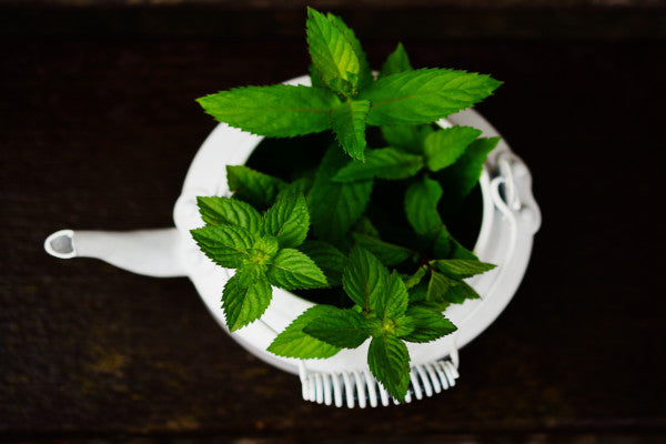 beneficios del té de menta