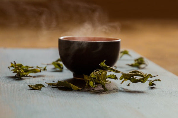 Beneficios del té de pólvora