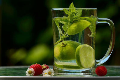 ¿Qué es el té de bálsamo de limón? Sabor, usos y recetas