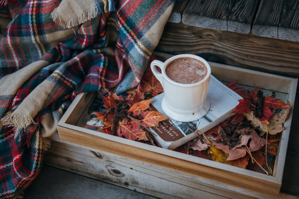 proveedores de té de chocolate 