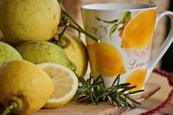 Té de romero para hostelerías