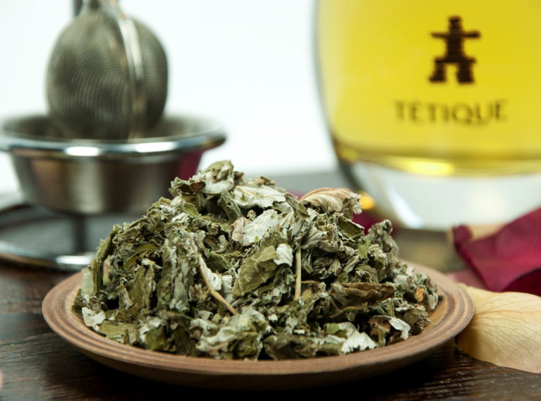 Infusión de hojas de frambuesa Tétique