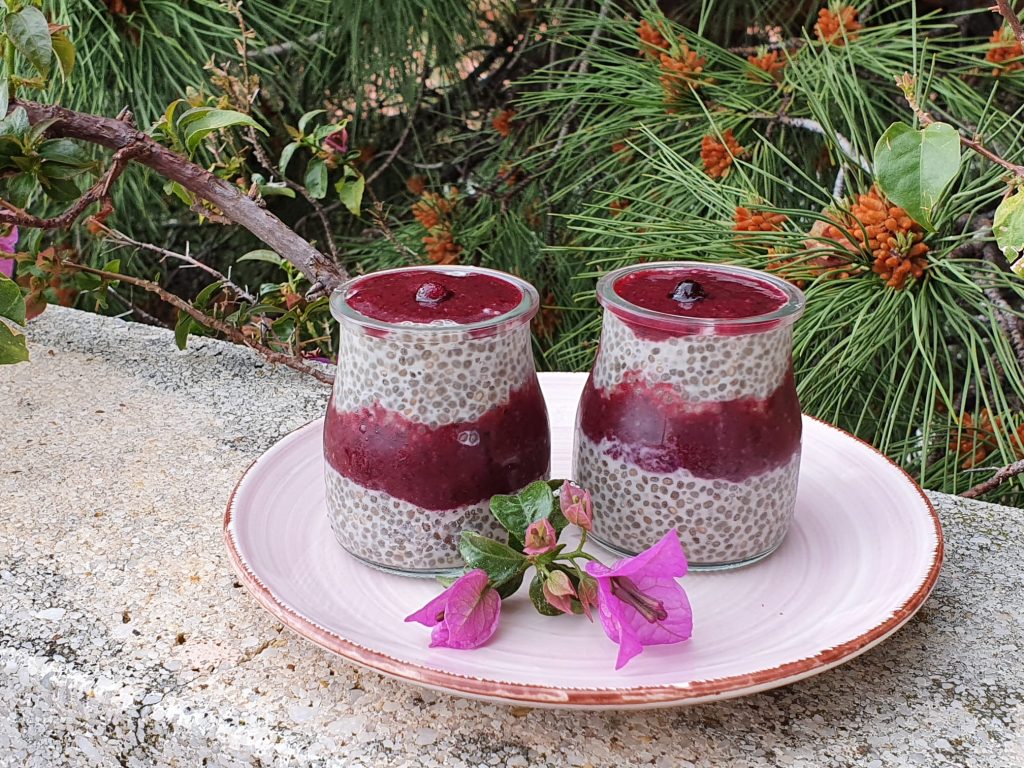 Receta de Pudín de Chia con Frutas Detox