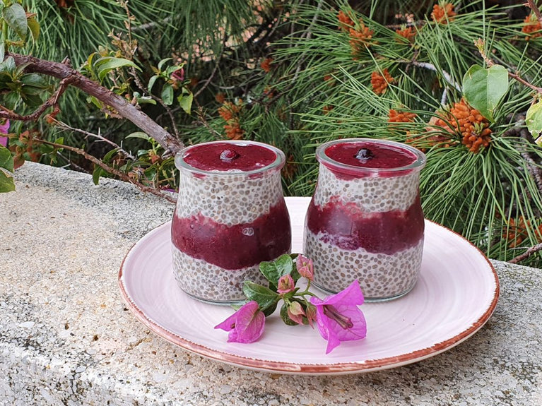 Receta de Pudín de Chia con Frutas Detox