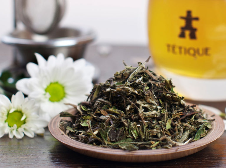 Proveedores de Té blanco ecológico 
