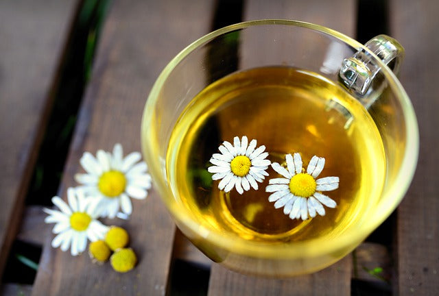 proveedores de té de manzanilla