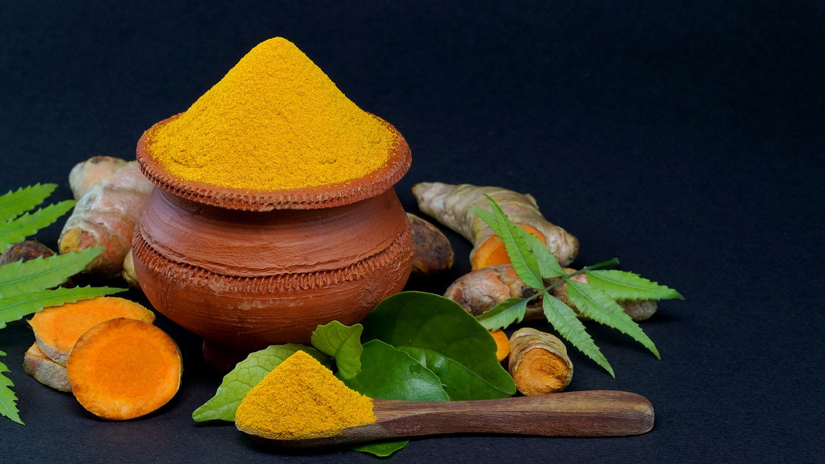 proveedores de té de cúrcuma