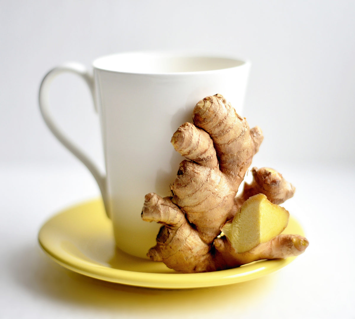 proveedores de Té de jengibre 