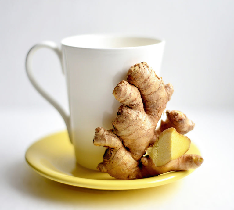 proveedores de Té de jengibre 