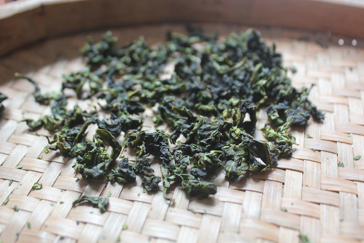 Proveedores de té de oolong 