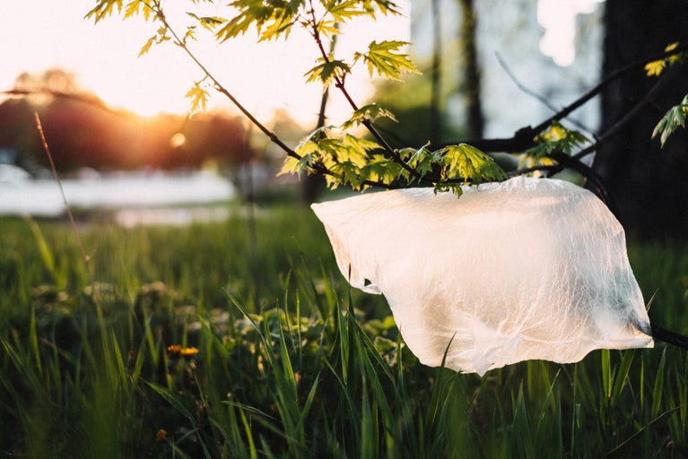 Bolsitas de tés biodegradables Tétique