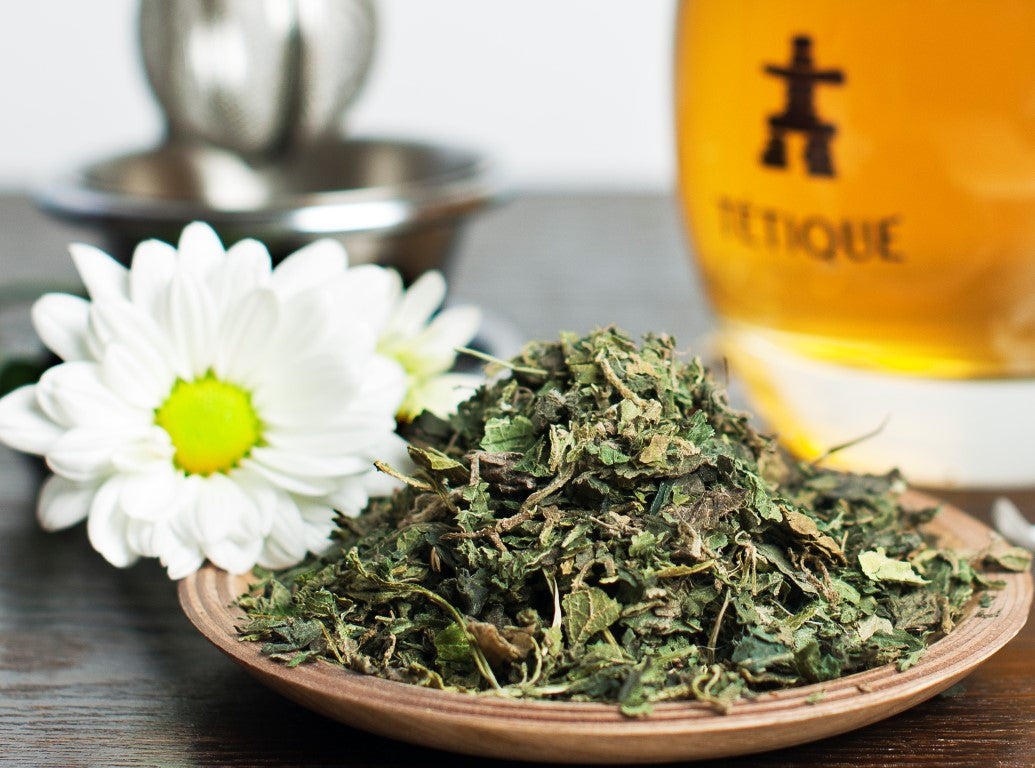 Infusión de ortiga para hostelerías 
