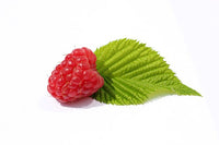 ¿Qué es el té de hojas de frambuesa? Sabor, usos y recetas