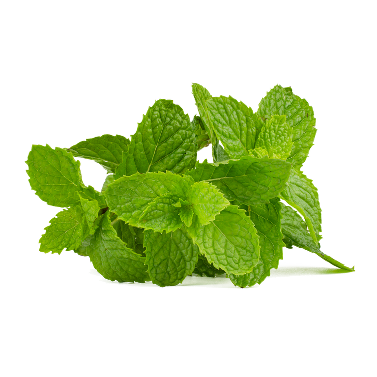 Té de menta bio