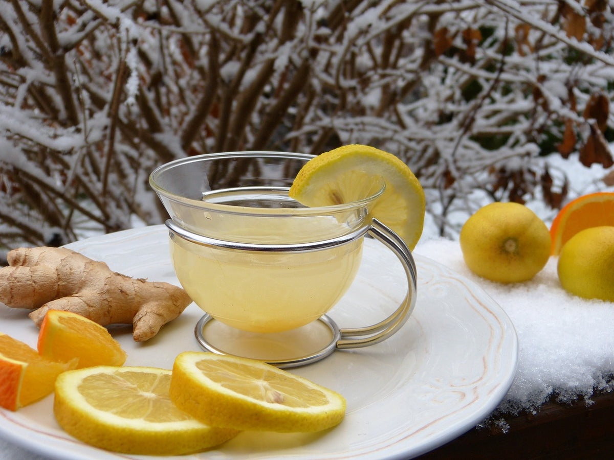 proveedores de Té de jengibre con limón 