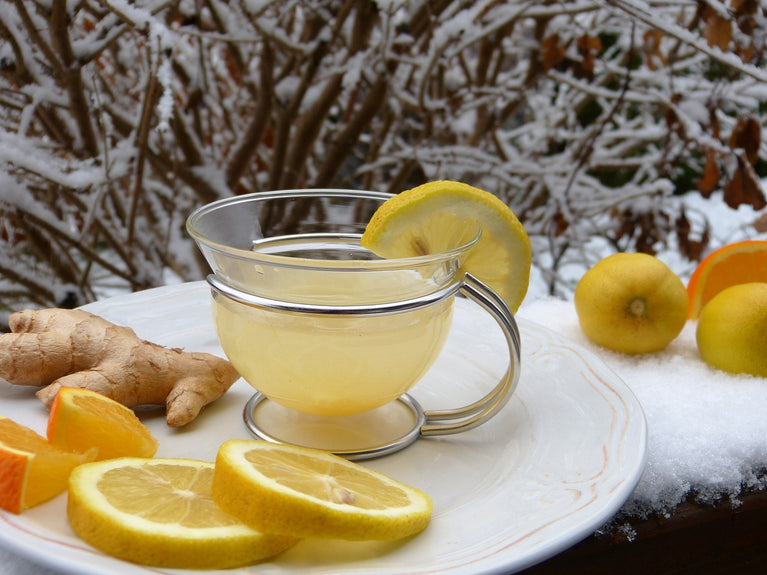 proveedores de Té de jengibre con limón 