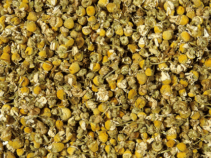 Infusão de camomila