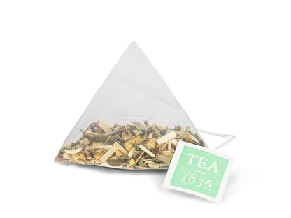 Infusion de Hierbas con Jengibre fresco, Caja de 50 Píramides de Té en Bolsas